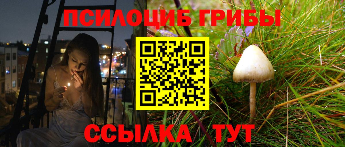 Псилоцибиновые грибы Magic Shrooms  Вход с VPN  Псилоцибиновые грибы Cubensis  Реж 